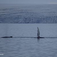 2014-07-08 01-52-21