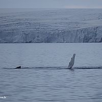 2014-07-08 01-52-23