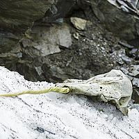2014-07-11 15-43-51