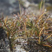 2014-07-04 10-35-24