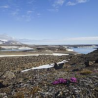 2014-07-08 10-50-33