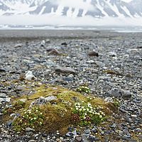 2014-07-10 14-44-10