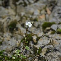 2014-07-10 18-56-06