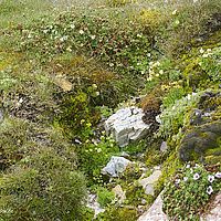 2014-07-10 19-04-52