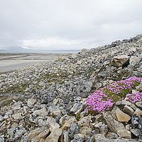 2014-07-11 11-24-38