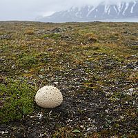 2014-07-11 21-43-06