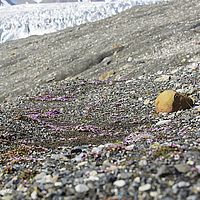 2014-07-13 13-06-19