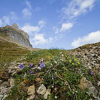 2014-07-14 18-03-22