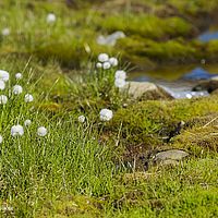 2014-07-15 13-04-21