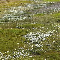 2014-07-15 13-12-44