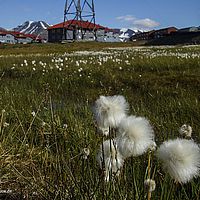 2014-07-15 13-16-18