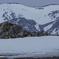2014-07-03 11-28-00
