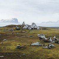 2014-07-10 14-46-12