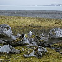 2014-07-10 14-46-36