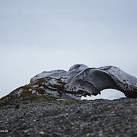 2014-07-10 14-49-04