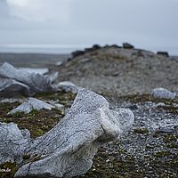 2014-07-10 14-51-33