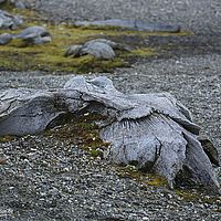 2014-07-10 15-01-08