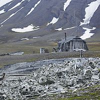 2014-07-11 10-01-32
