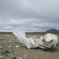 2014-07-12 12-52-32