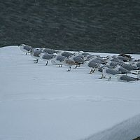 2014-02-13 11-40-10