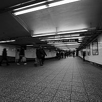 2014-02-14 10-48-18