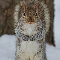 2014-02-15 13-13-11