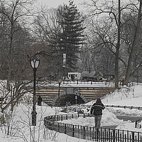 2014-02-15 13-22-47