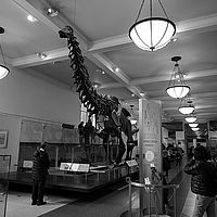2014-02-21 10-35-41