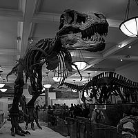 2014-02-21 13-02-59