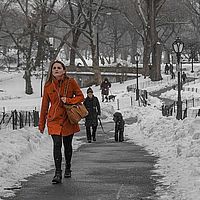 2014-02-15 13-05-21-2