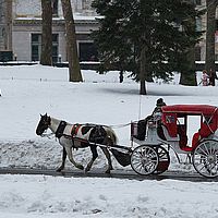2014-02-15 13-11-27