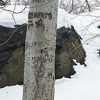 2014-02-15 13-52-09