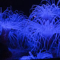 2013-09-07 10-37-46