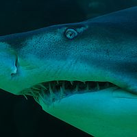 2013-09-07 11-01-13