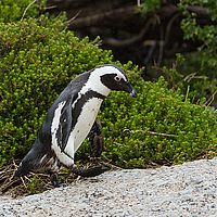 2013-09-08 10-36-53