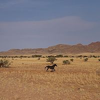 2013-09-12 16-24-26