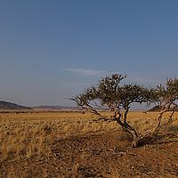 2013-09-12 17-38-35