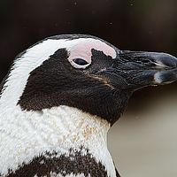 2013-09-08 10-48-45