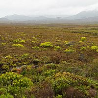 2013-09-08 11-48-22
