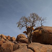 2013-09-13 11-24-06