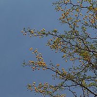 2013-09-13 11-26-17