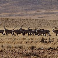 2013-09-13 16-30-44