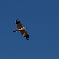 2013-09-13 18-09-16-2