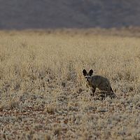 2013-09-13 18-13-13