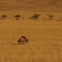 2013-09-13 18-20-53