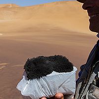 2013-09-16 12-16-30