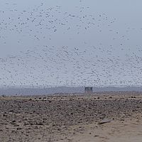 2013-09-17 11-16-56