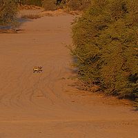 2013-09-17 18-36-46