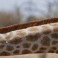 2013-09-25 11-52-39