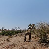 2013-09-25 11-54-20